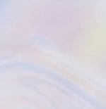 W SWITCH CARGO 2.0 PANT