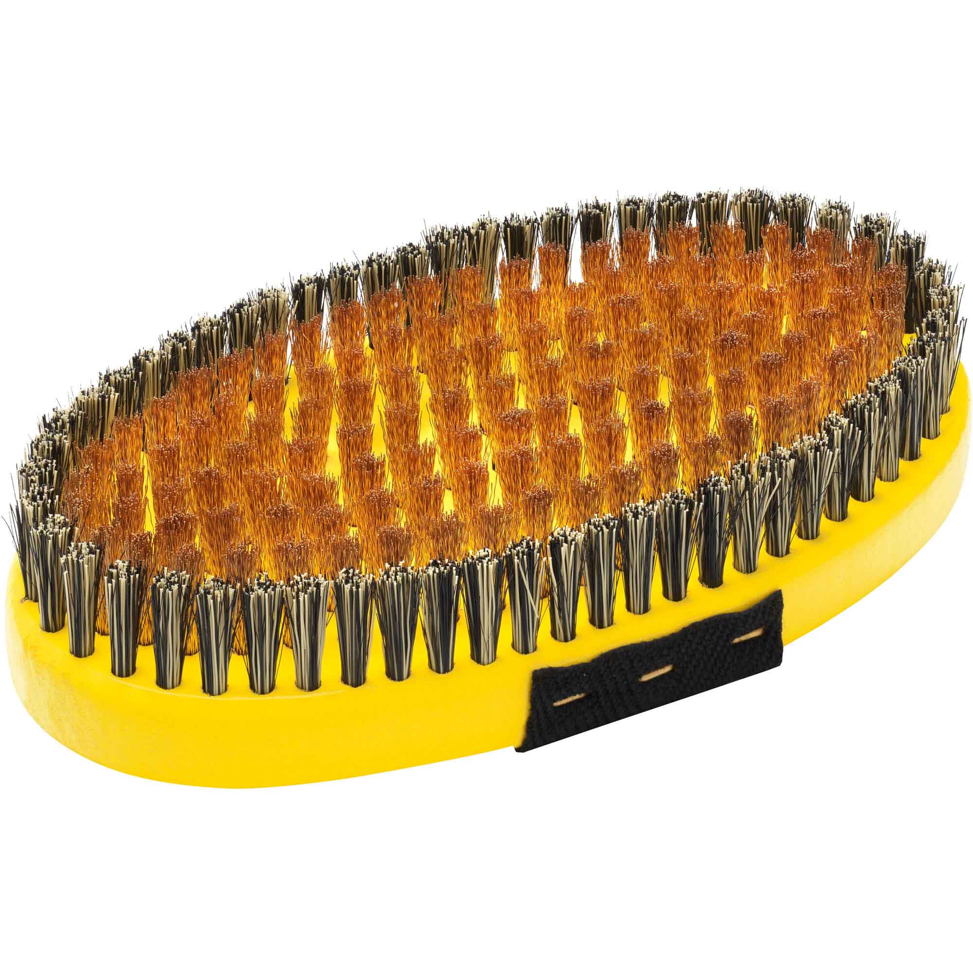 Base Brush oval