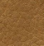 M's Cinquantaquattro Warm Evo WP