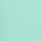 FWC'Cruz SLIM SNOW PANTS