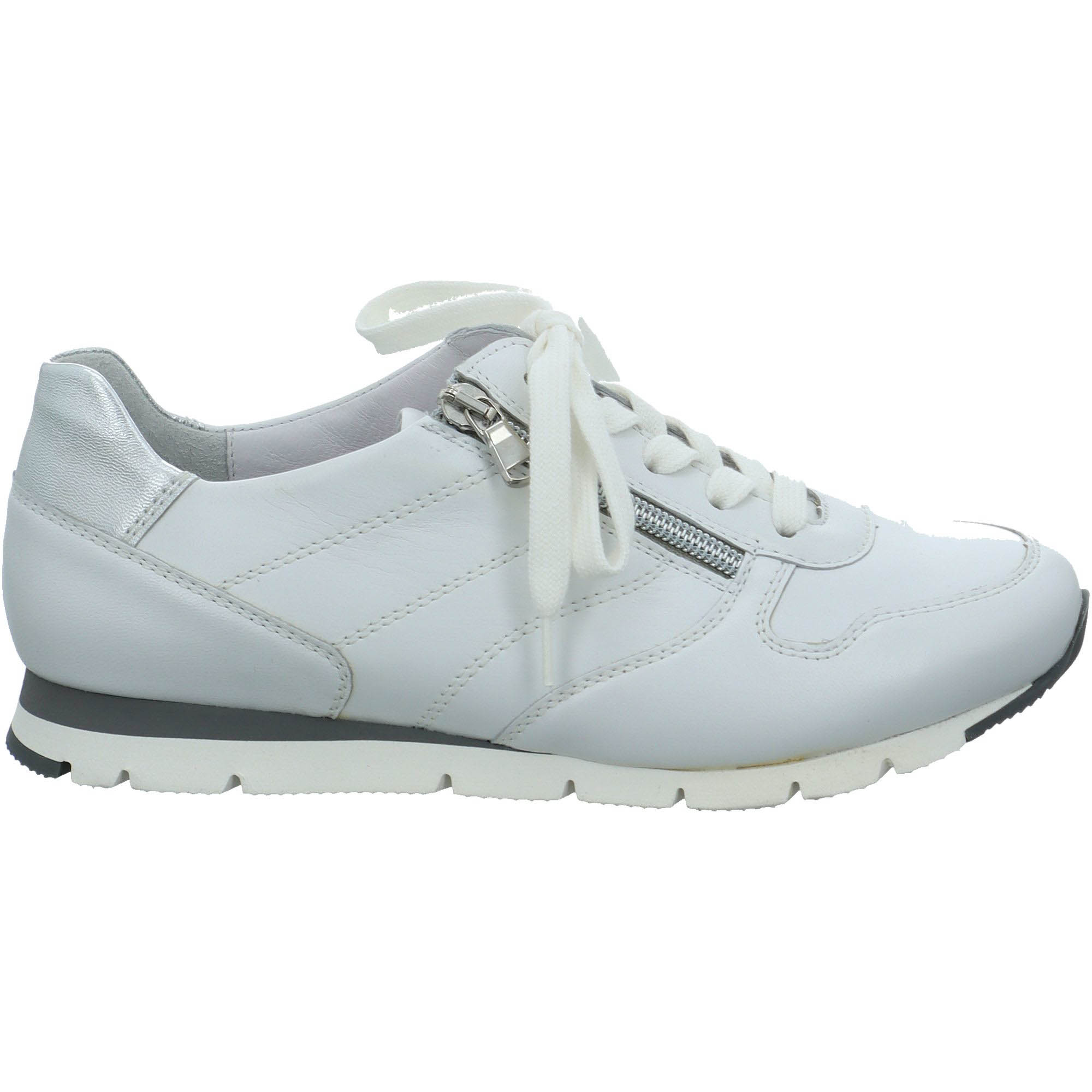 R5243 Rosa-H R5243 Rosa-H