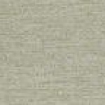 BlueVista Hill SS Crew