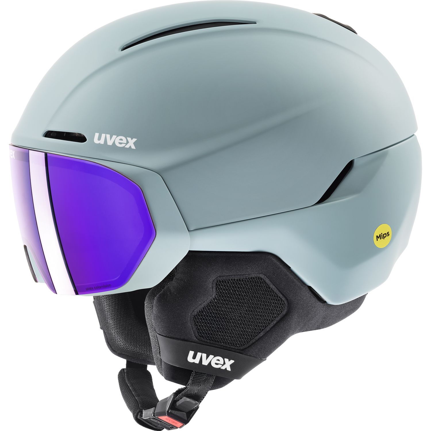 horizon CV MIPS