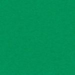 Omni Logo Hoodie Youth