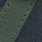 Harrier Strap