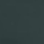 W TREKKING SHORTS CSL