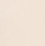 CFC M NK DF JSY SS STAD AW