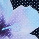 Roxy Active PT Athletic Bra Set