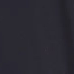 TAD ESS Woven Shorts B