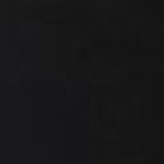 NG Heavyweight Pant SR