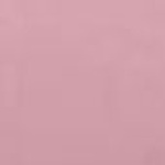 825773 Terracruise LT W