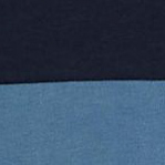 PRTBLAVAND singlet