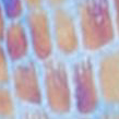 1-800113
