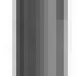 Carbon 12