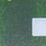 WALLISCH SHORTY/FDT 7.0 L