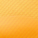 evoSPEED Forte NITRO Elite