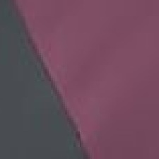 Alpine Pro W L/S Tee