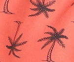 PRTRAVI JR beachshort