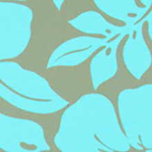 Roxy Spirit One Piece