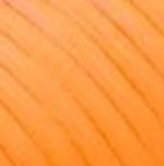 FUTURE 8 MATCH FG/AG Jr