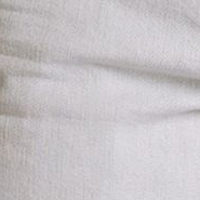 Short Stretch Denim