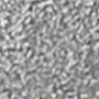 7300102 Julia