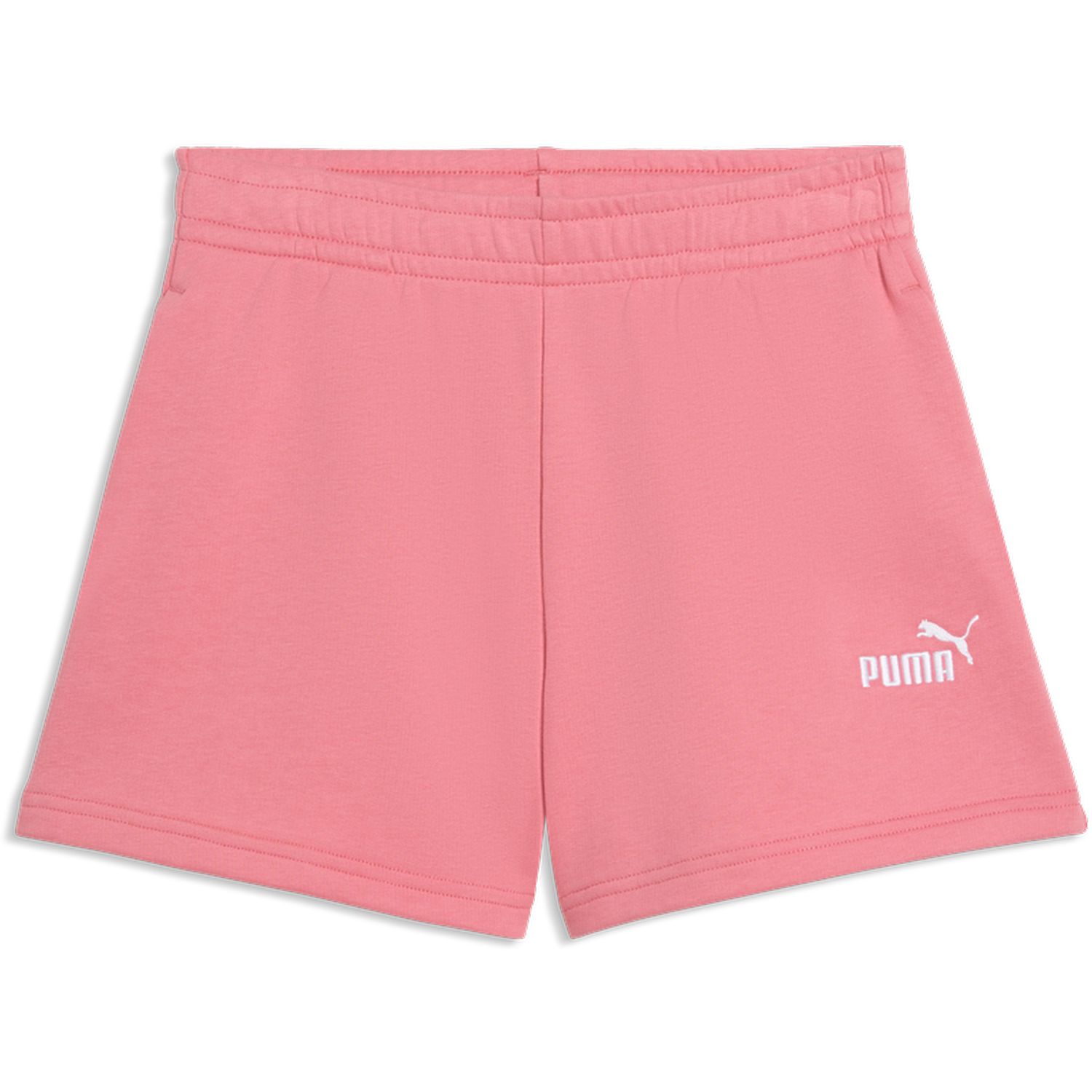 ESS Small No. 1 Logo Shorts TR G
