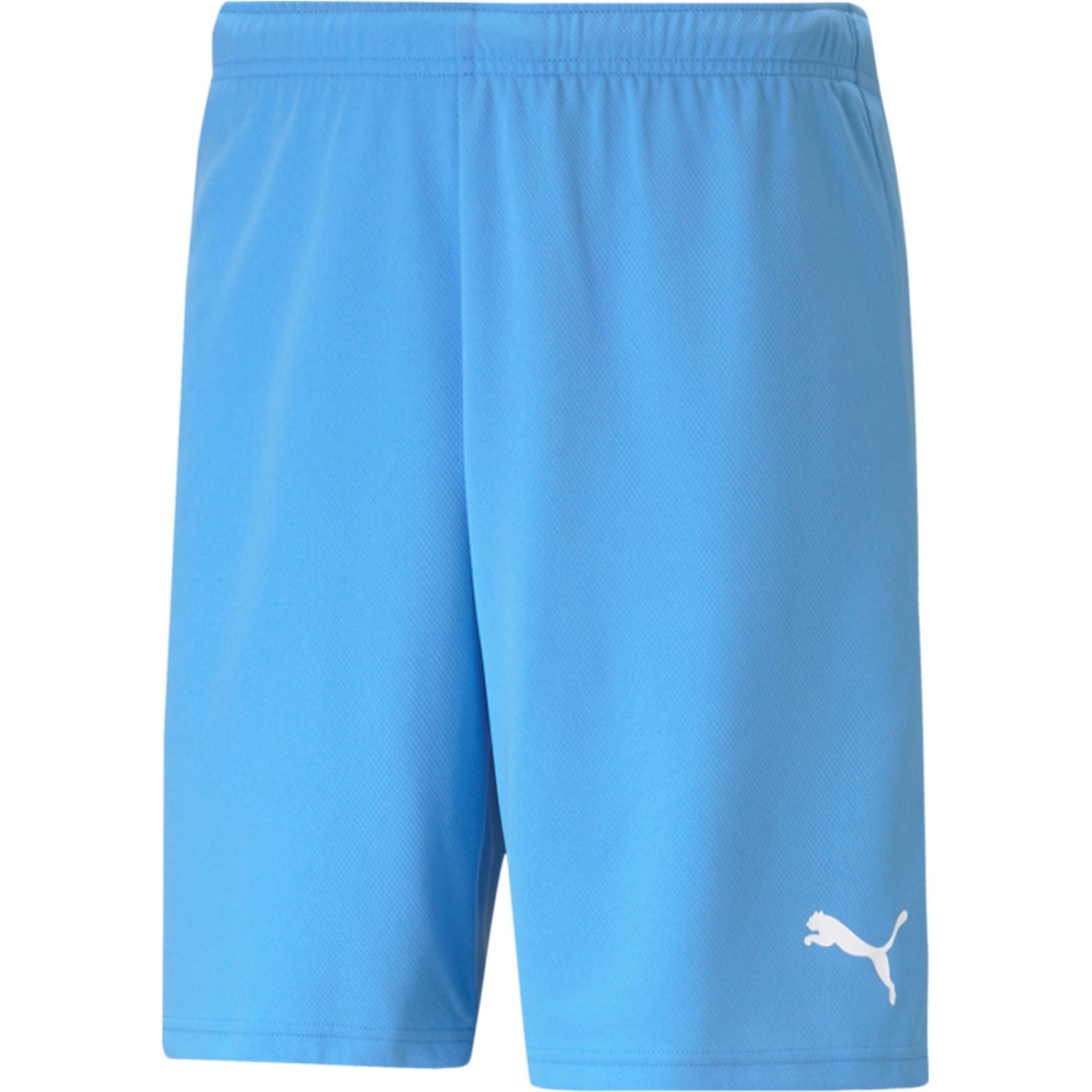 teamRISE Shorts