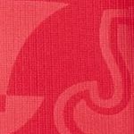 ENT Y NK DF JSY SS STAD AW