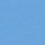 Comp Logo Hoodie Youth