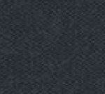 Fovea Race
