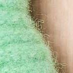 Comfort Cora TZ Womenshape