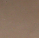 5006