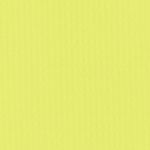 SFV Replica Match Jersey Jr GK