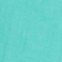 VERT SWIM SHORTS