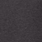 Parsons Point SS Scoop T