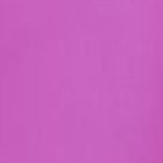 Schienbeinschutz WC Pro J