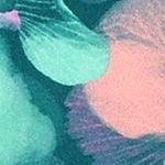 Swimsuit W. Skirt AOP