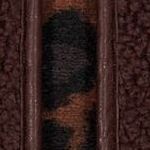 U260097