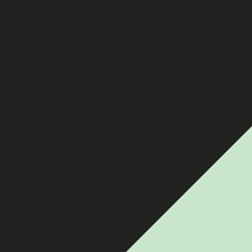 individualFINAL Shorts