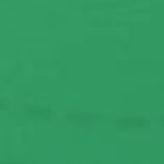 Classic Patch Curved Bill Trucker