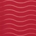 FPF Home Jersey Replica