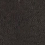 Train Elastic 3 Short