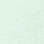 NIKE SPORTSWEAR CLUB FLEECE BI (FD3004)