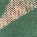 Shirt W's Trail Vertic Pro SS