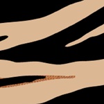 SAVAGE EXPERT R22/SPX15