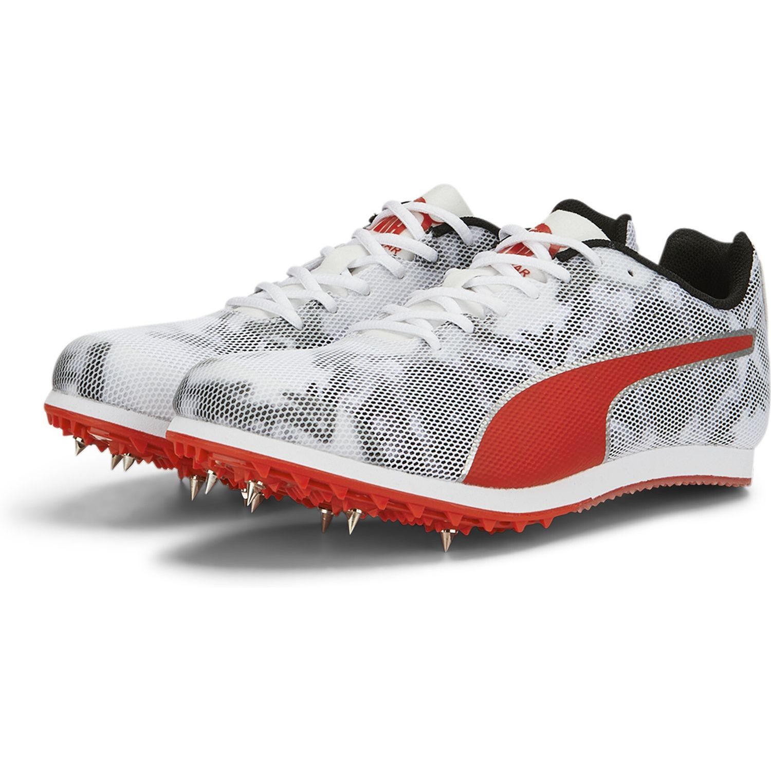 evoSPEED Star 8 Junior