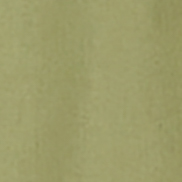 RG Essentials Boardshort