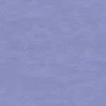 G NP DF FLC SHORT