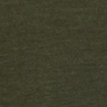 Mountain T-Shirt Men Eiger